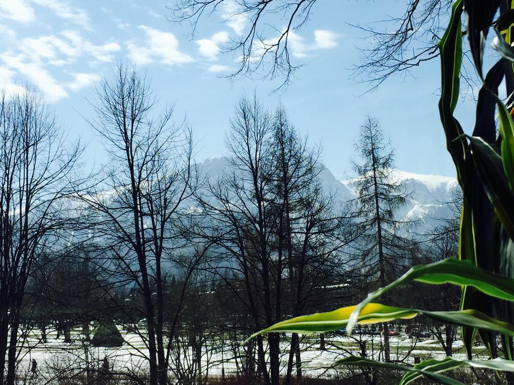 33 * Zakopane
