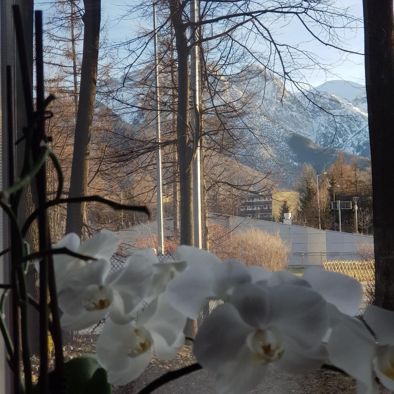 33 Apartamento Zakopane